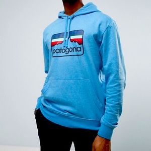 Patagonia Line Logo Badge Hoodie Lightweight